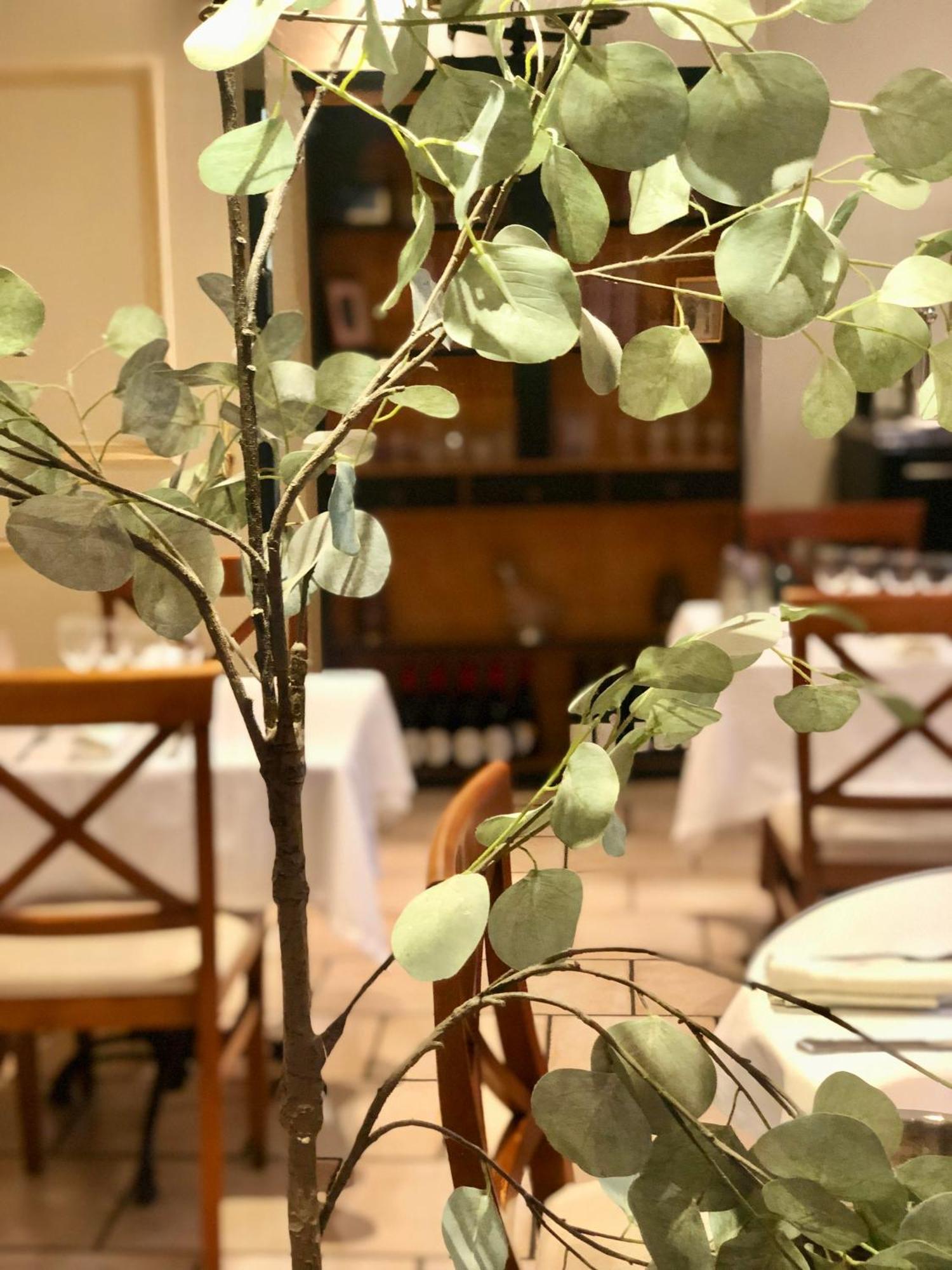 Logis Et Restaurant La Bastide Cabezac Bize-Minervois